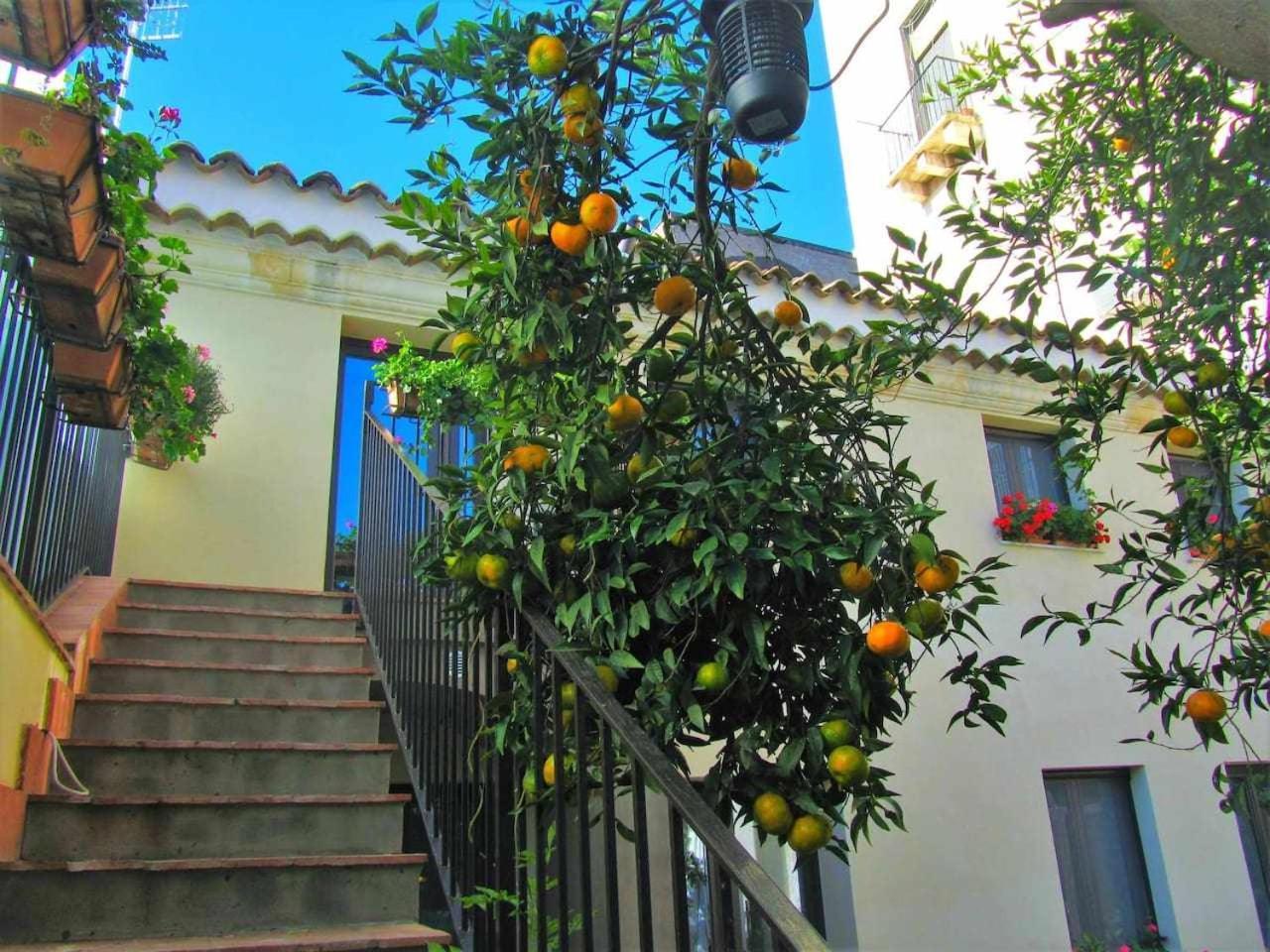 אסראלה B&B Comeinsicily Cortedeilimoni Charming & Relax חדר תמונה